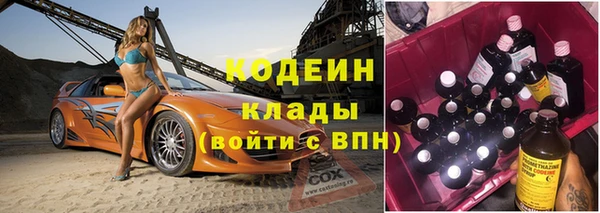 шишки Абаза